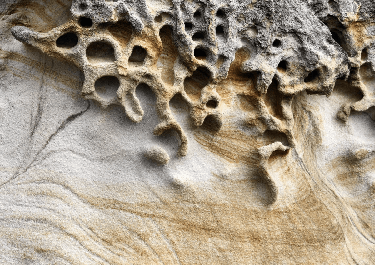 Living Culture — sandstone texture